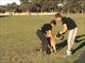 Bump - training session at 8 months