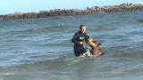 Chippo - extraordinary protection work at Sardinia Bay