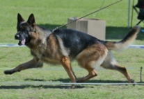 Olf at Momenta Show, 2012